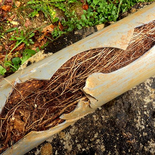 Same Day Drain Sewer & Rooter Pros Across Woodstock